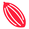 Cacau