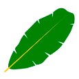 Folha de bananeira